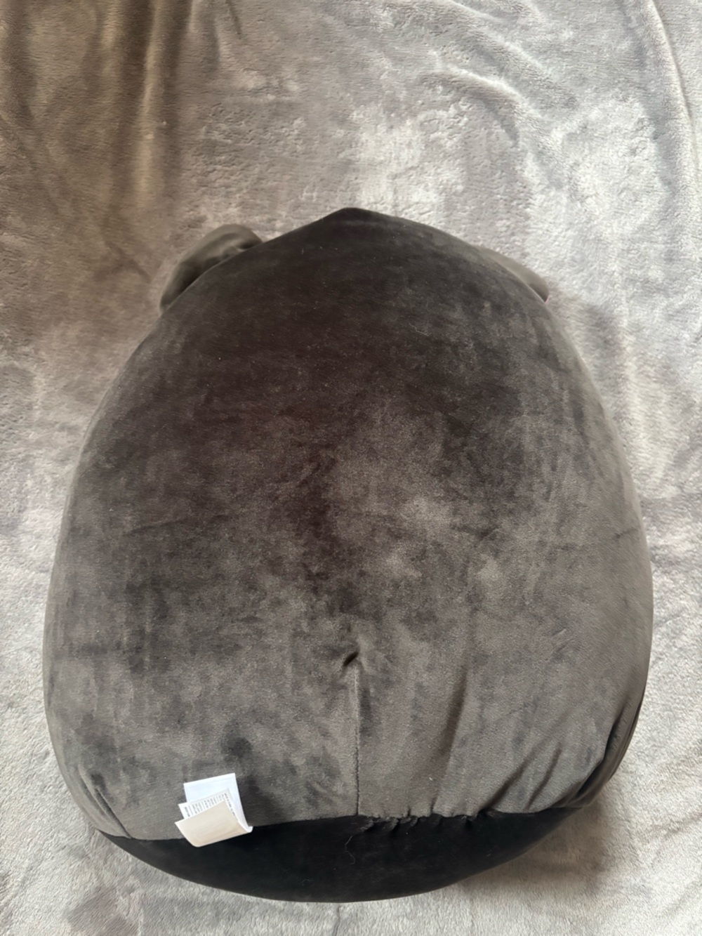 Squishmallow Salome Bat 24 inch - Picture 2 of 3
